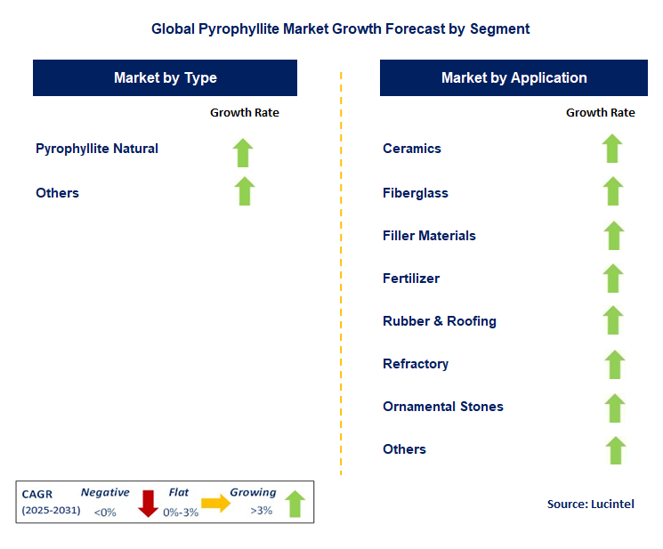 Pyrophyllite Market by Segment
