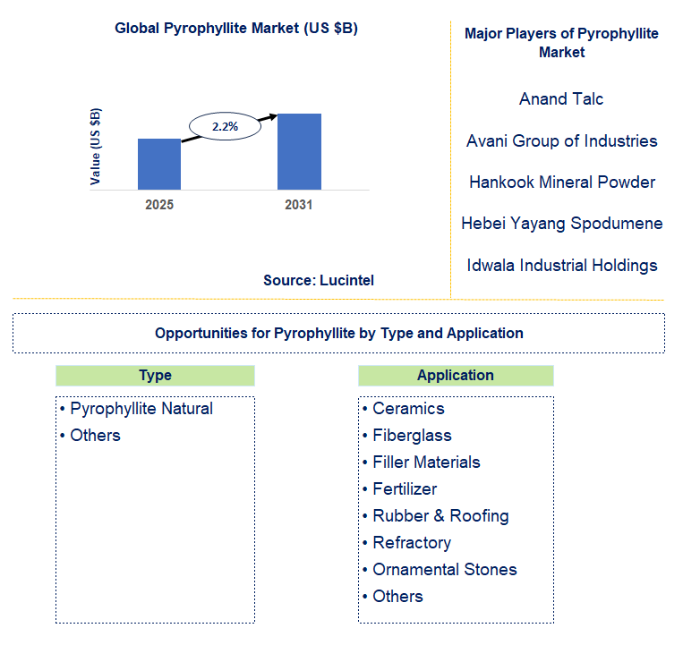 Pyrophyllite Market Trends and Forecast