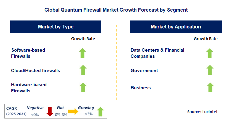 Quantum Firewall Market by Segment