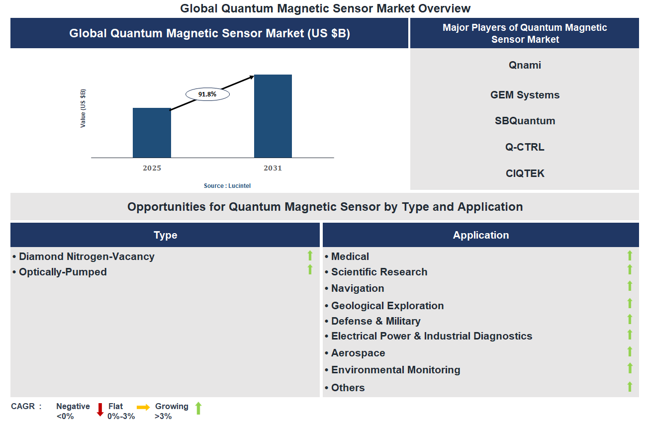 Quantum Magnetic Sensor Market Trends and Forecast