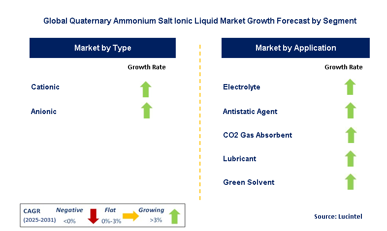 Quaternary Ammonium Salt Ionic Liquid Market by Segment