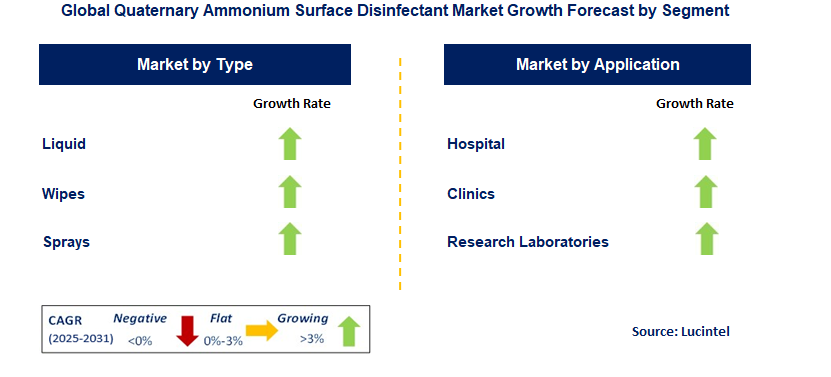 Quaternary Ammonium Surface Disinfectant Market by Segment