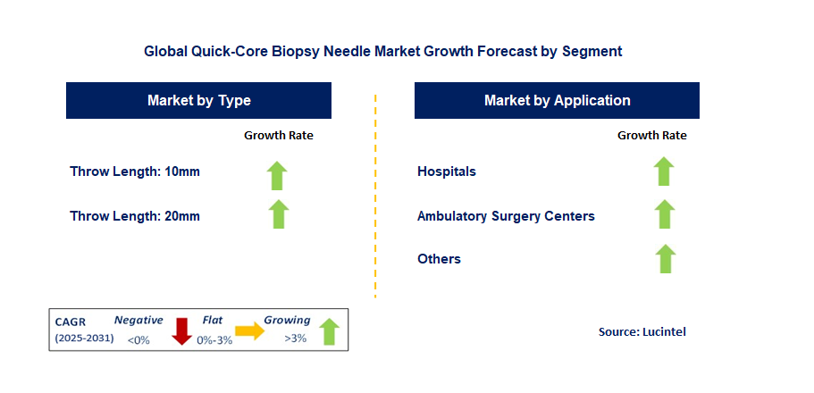 Quick-Core Biopsy Needle Market by Segment