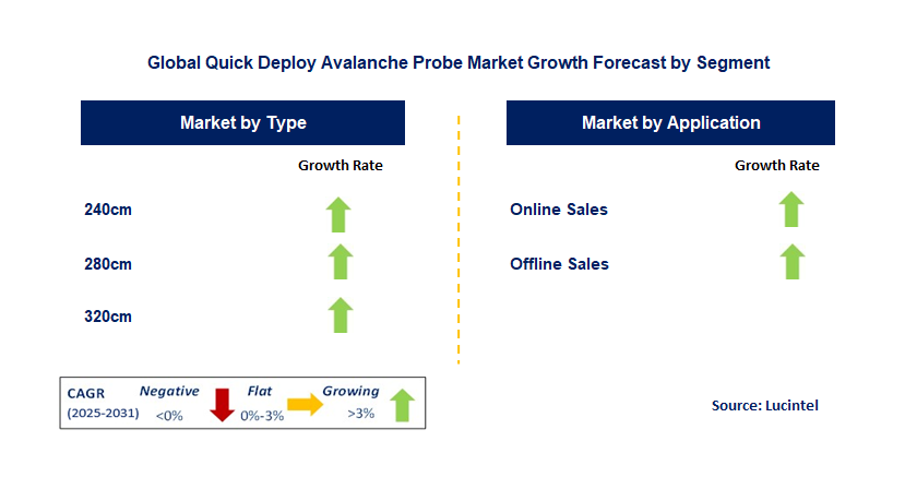 Quick Deploy Avalanche Probe Market by Segment