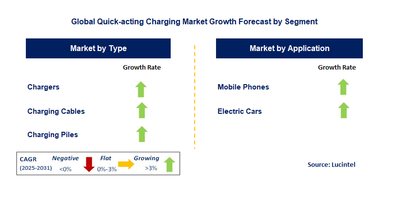 Quick-acting Charging Market by Segment