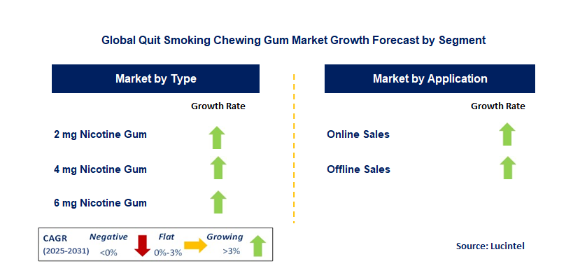 Quit Smoking Chewing Gum Market by Segment