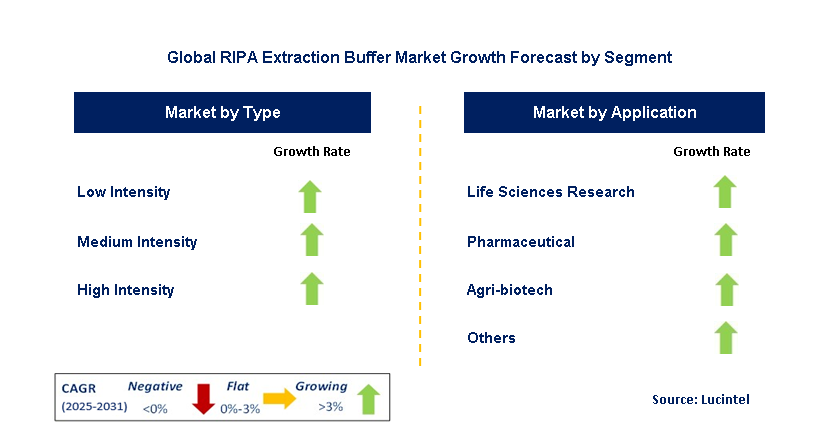 RIPA Extraction Buffer Market by Segment
