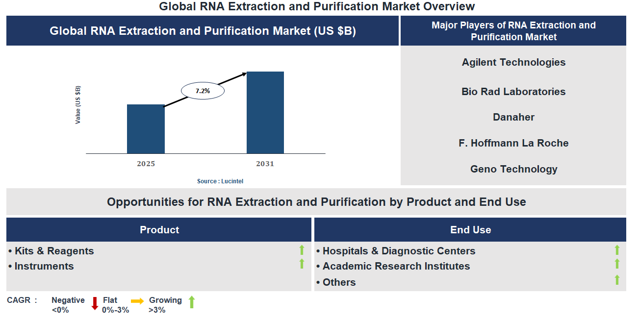 RNA Extraction and Purification Market Trends and Forecast