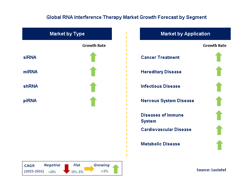 RNA Interference Therapy Market by Segment