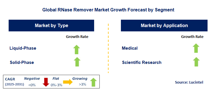 RNase Remover Market by Segment