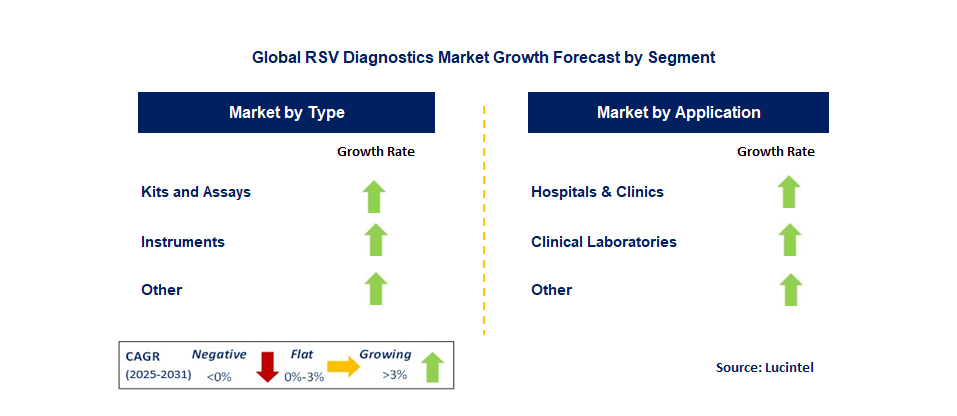 RSV Diagnostics Market by Segment