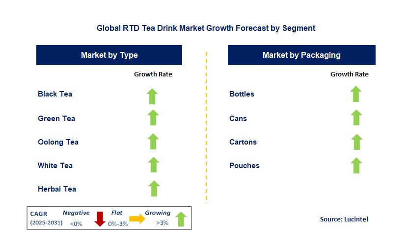 RTD Tea Drink Market by Segment