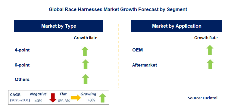 Race Harnesses Market by Segment