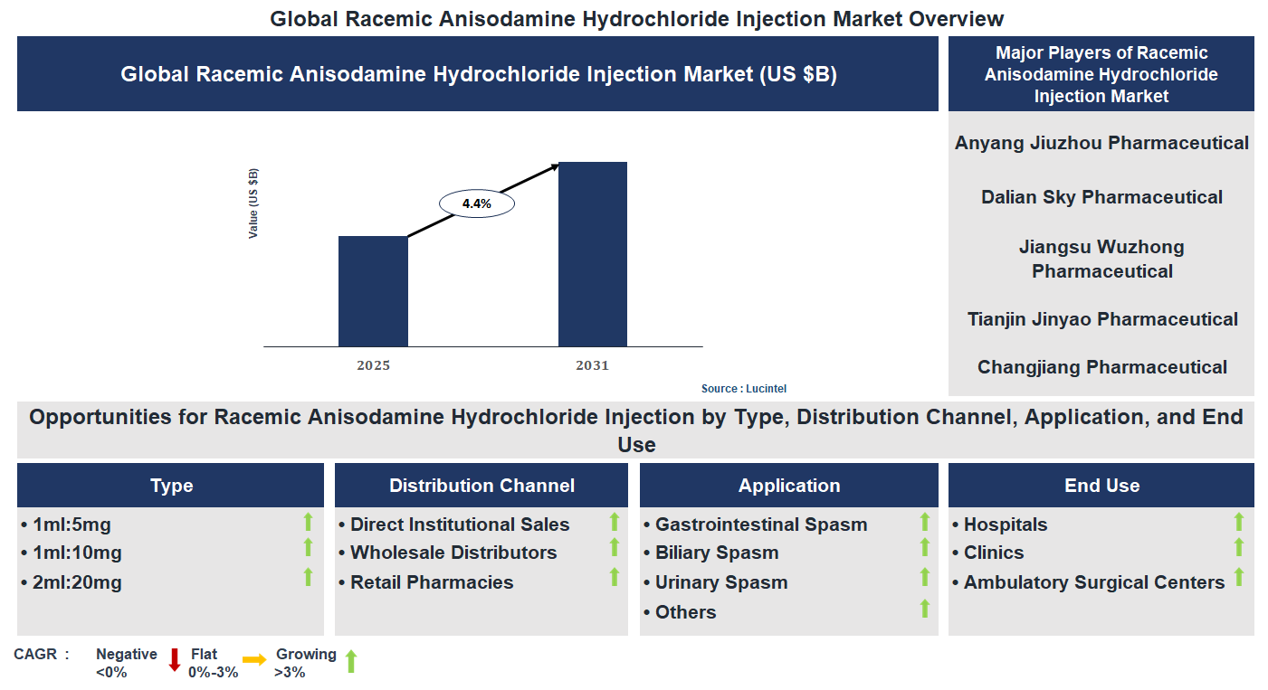Racemic Anisodamine Hydrochloride Injection Market Trends and Forecast