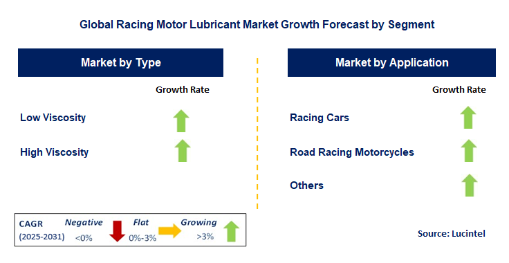 Racing Motor Lubricant Market by Segment
