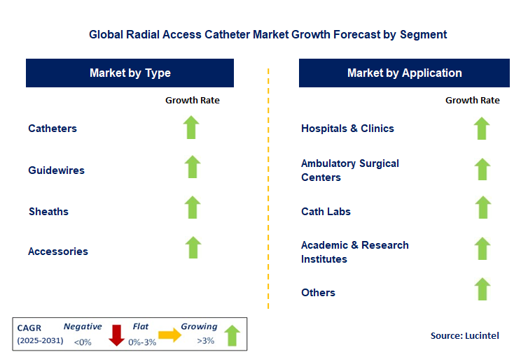 Radial Access Catheter Market by Segment