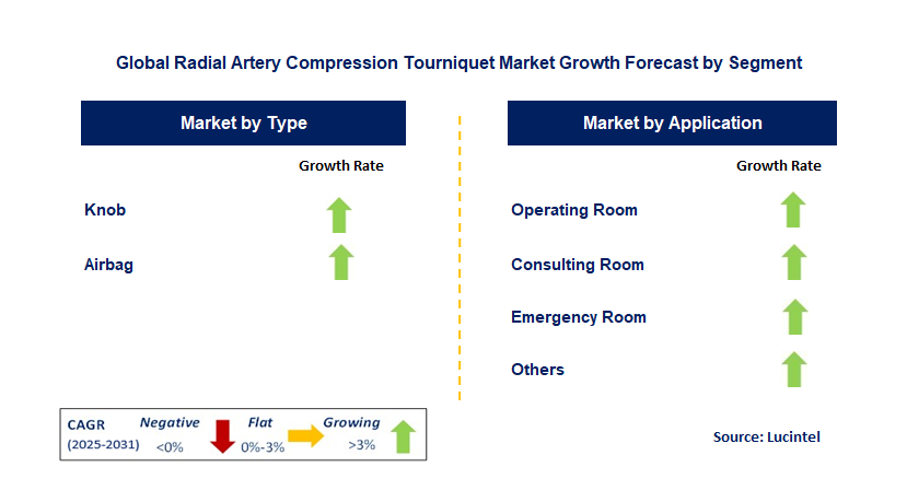 Radial Artery Compression Tourniquet Market by Segment