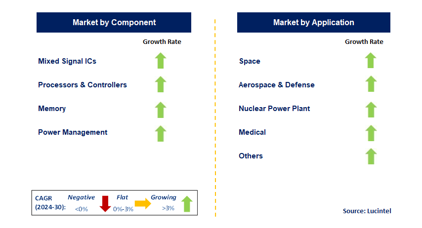 Radiation Hardened Electronics by Segment