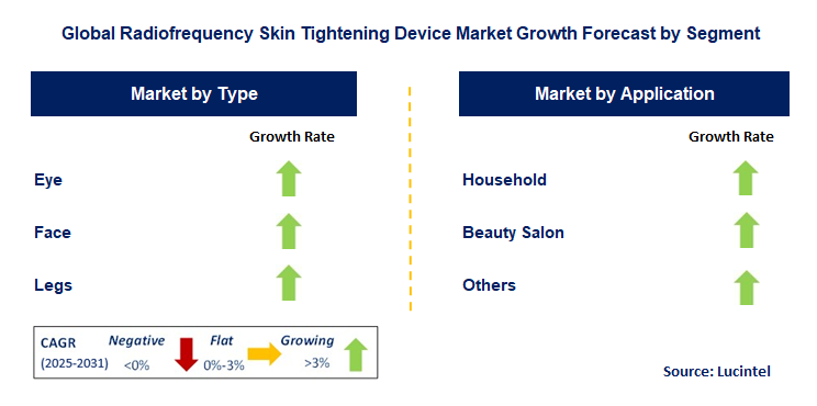 Radiofrequency Skin Tightening Device Market by Segment