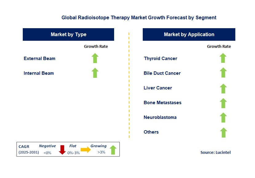 Radioisotope Therapy Market by Segment