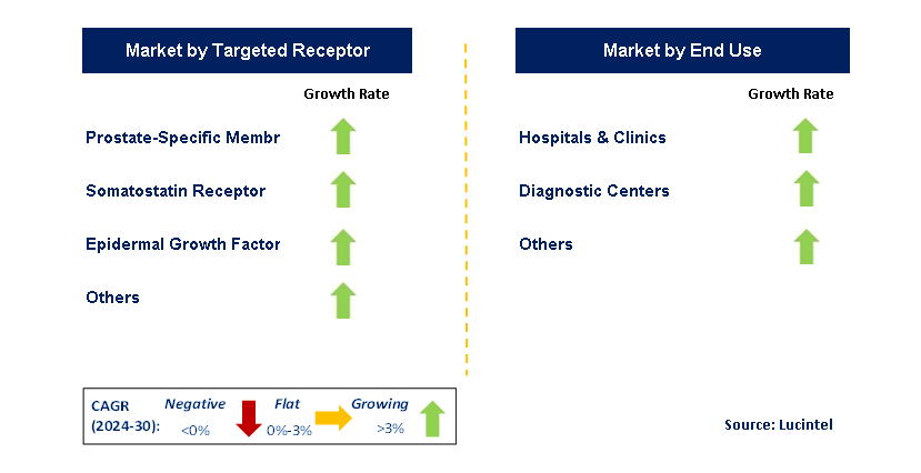 Radioligand Therapy by Segment