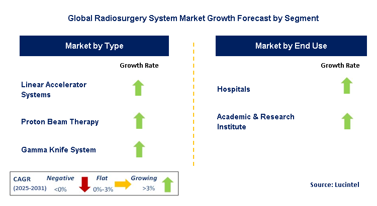Radiosurgery System Market by Segment