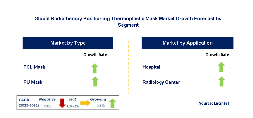 Radiotherapy Positioning Thermoplastic Mask Market by Segment