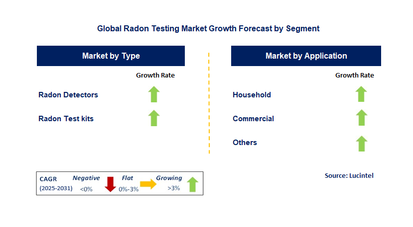 Radon Testing Market by Segment