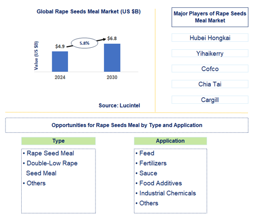 Rape Seed Meal Market Trends and Forecast
