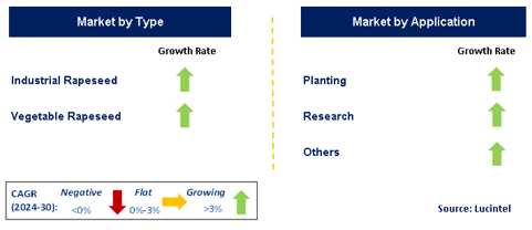 Rapeseed Seeds Market by Segment
