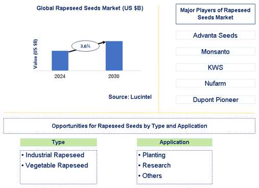 Rapeseed Seeds Market Trends and Forecast