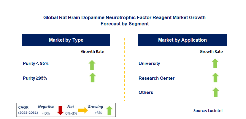 Rat Brain Dopamine Neurotrophic Factor Reagent Market by Segment