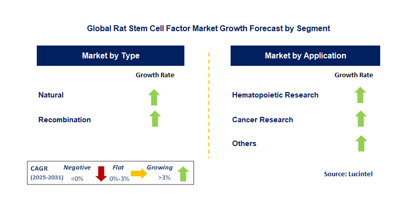 Rat Stem Cell Factor Market by Segment