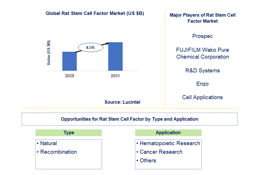 Rat Stem Cell Factor Market Trends and Forecast