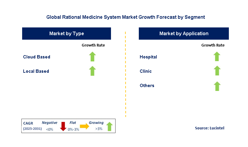 Rational Medicine System Market by Segment