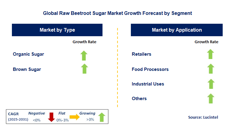 Raw Beetroot Sugar Market by Segment