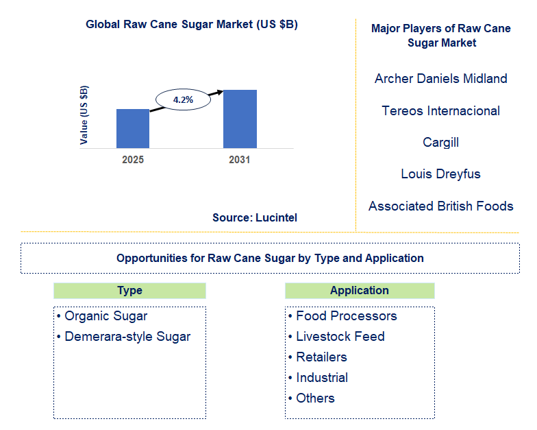 Raw Cane Sugar Market Trends and Forecast