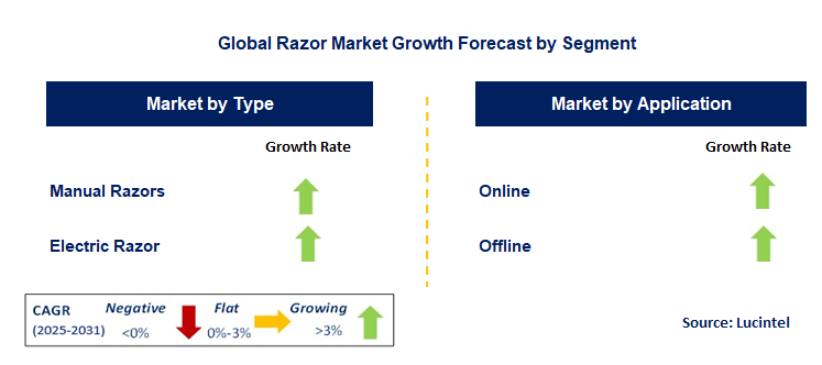 Razor Market by Segment