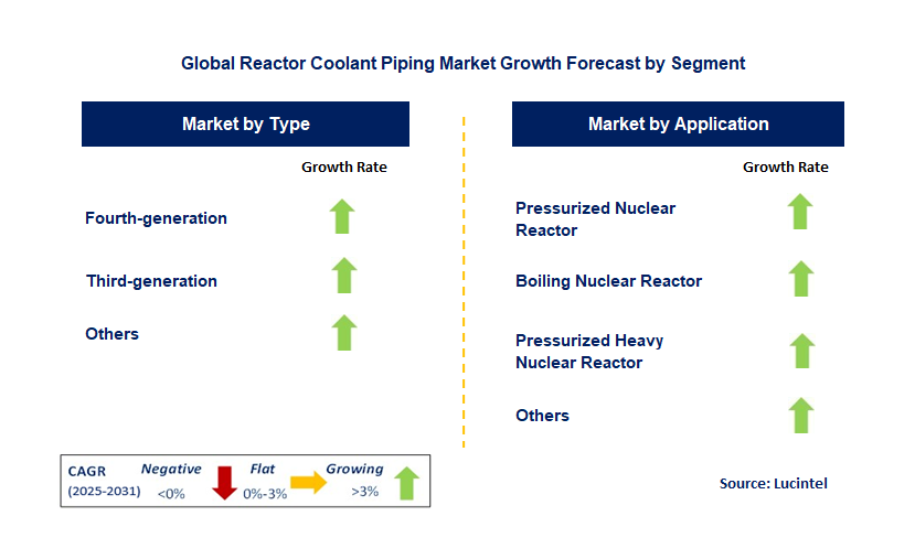 Reactor Coolant Piping Market by Segment