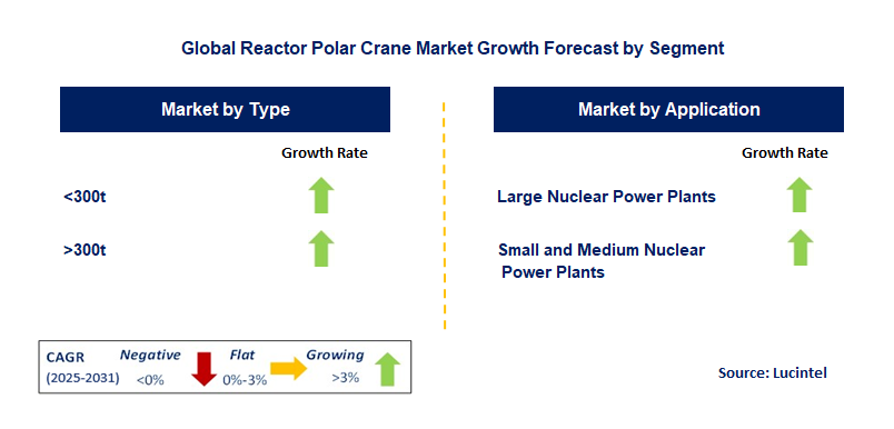 Reactor Polar Crane Market by Segment