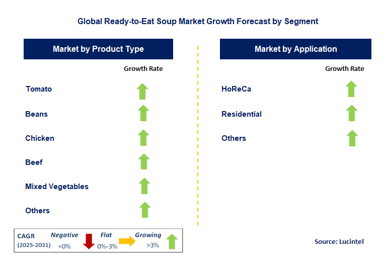 Ready-to-Eat Soup Market by Segment