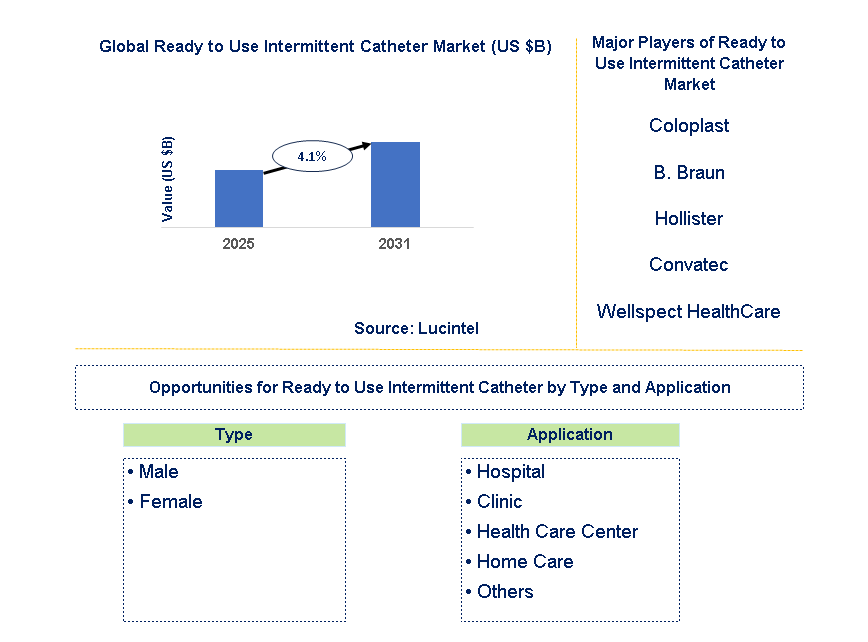 Ready to Use Intermittent Catheter Market Trends and Forecast