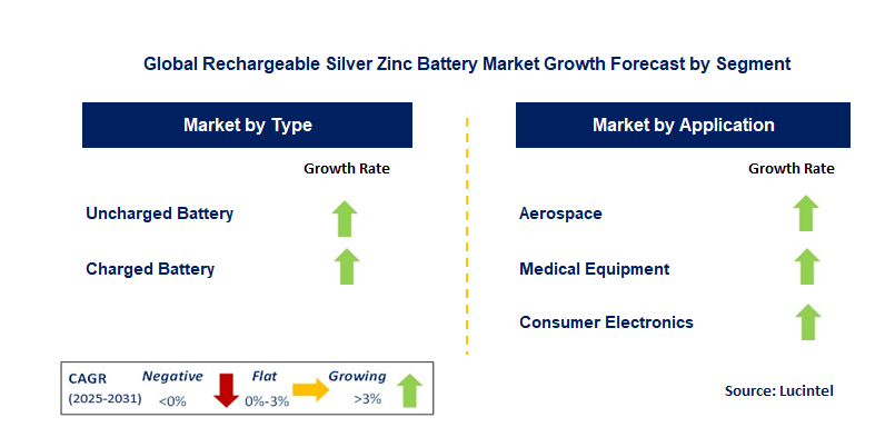 Rechargeable Silver Zinc Battery Market by Segment