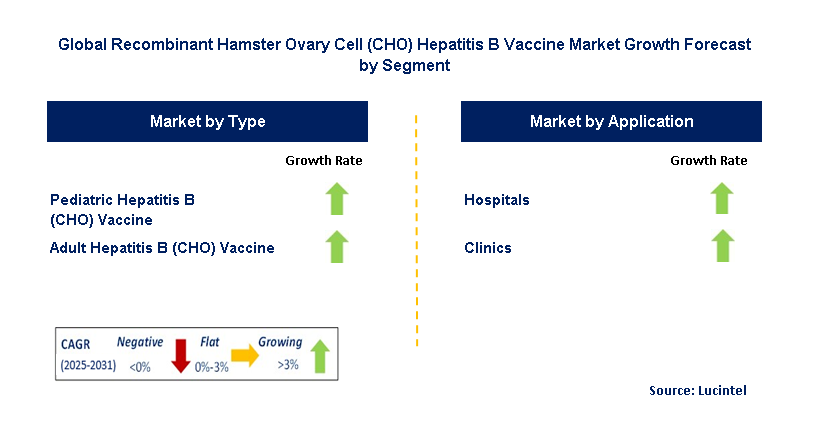 Recombinant Hamster Ovary Cell (CHO) Hepatitis B Vaccine Market by Segment
