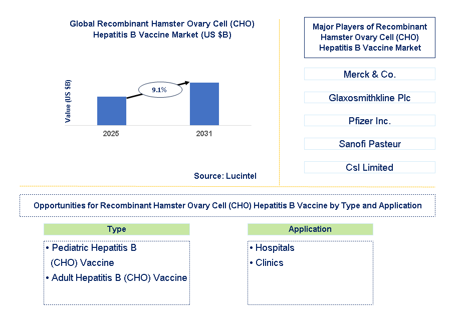 Recombinant Hamster Ovary Cell (CHO) Hepatitis B Vaccine Market Trends and Forecast