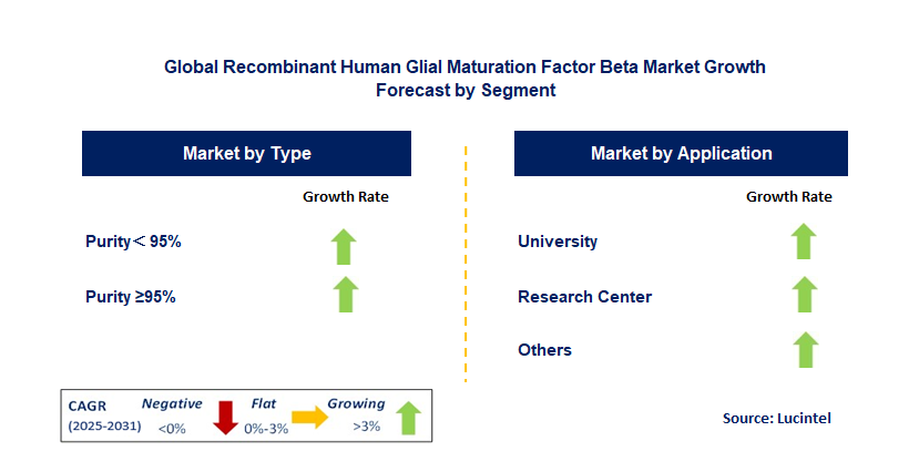 Recombinant Human Glial Maturation Factor Beta Market by Segment