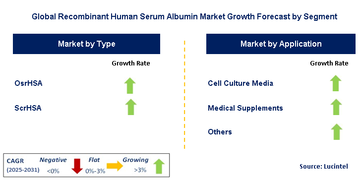 Recombinant Human Serum Albumin Market by Segment