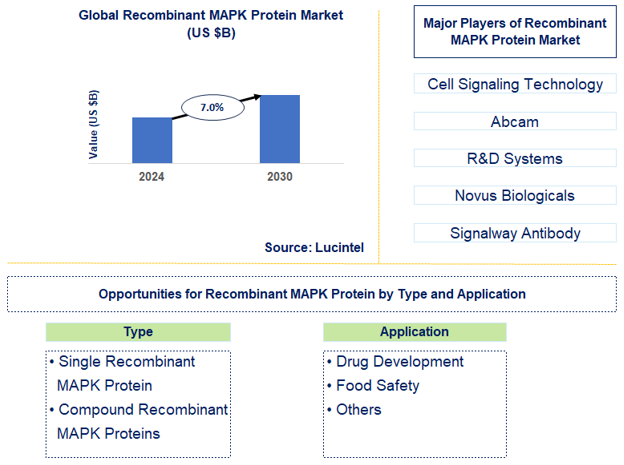 Recombinant MAPK Protein Trends and Forecast
