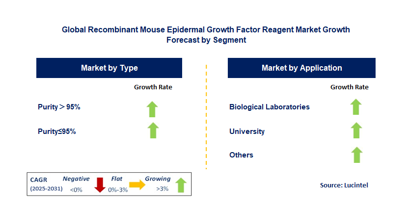 Recombinant Mouse Epidermal Growth Factor Reagent Market by Segment