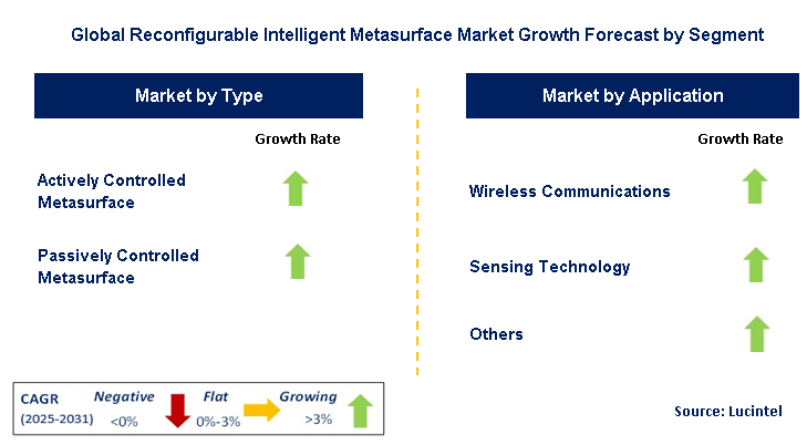 Reconfigurable Intelligent Metasurface Market by Segment